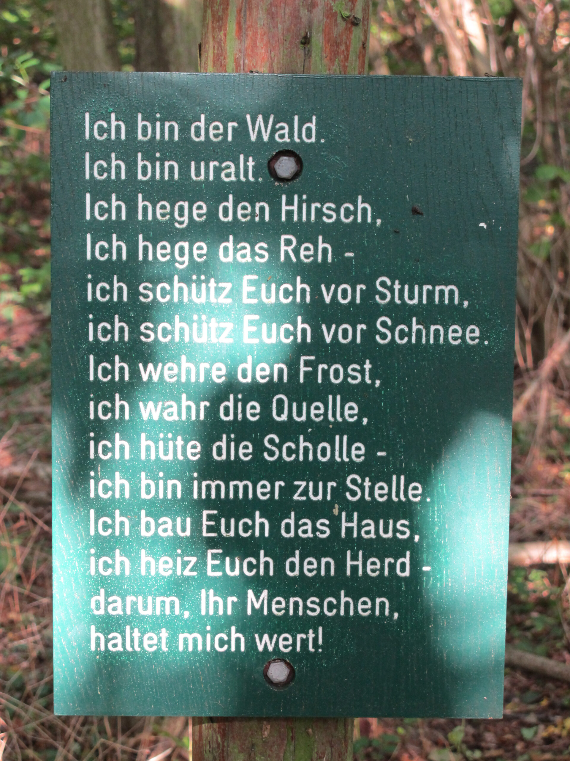 Carsten Stephan: Ich bin der Wald